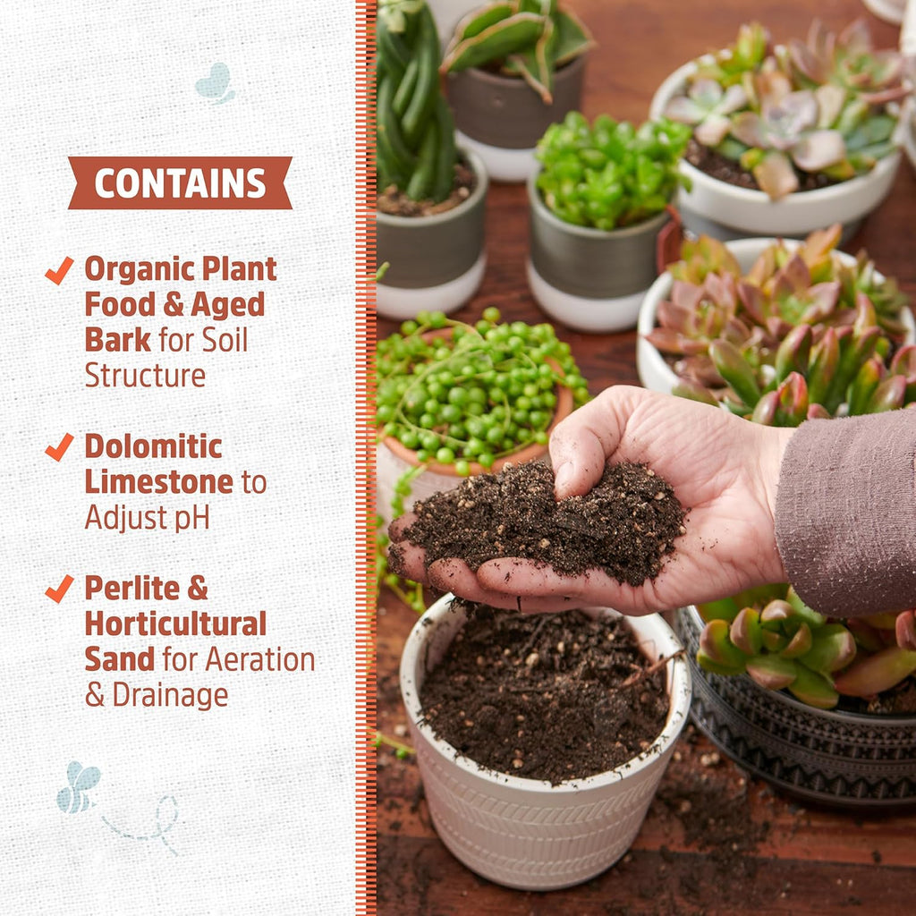 Back to the Roots 100% Organic Succulent & Cacti Mix (6 Quart)
