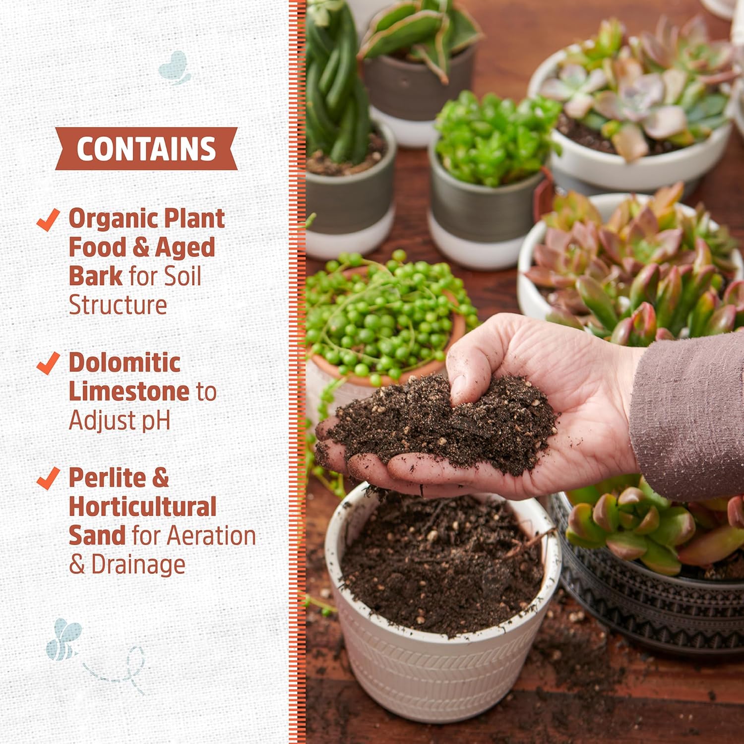 Back to the Roots 100% Organic Succulent & Cacti Mix (6 Quart)