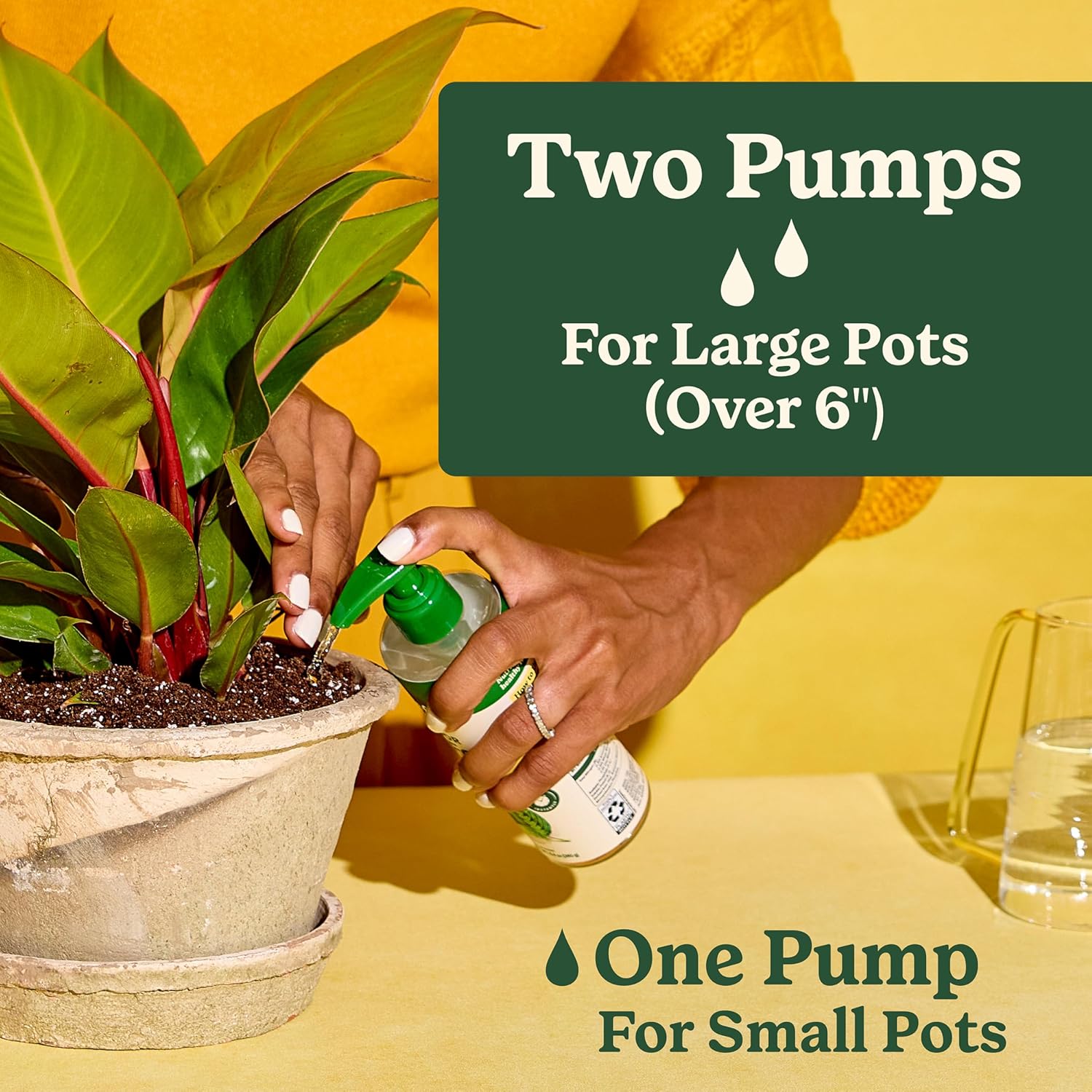 Miracle-Gro Indoor Plant Food for All Plants, Liquid Plant Food for