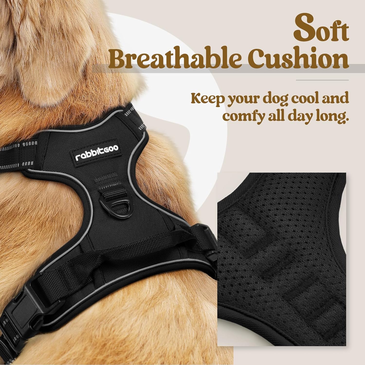 rabbitgoo Dog Harness No Pull with 2 Leash Clips, Adjustable Soft Padded