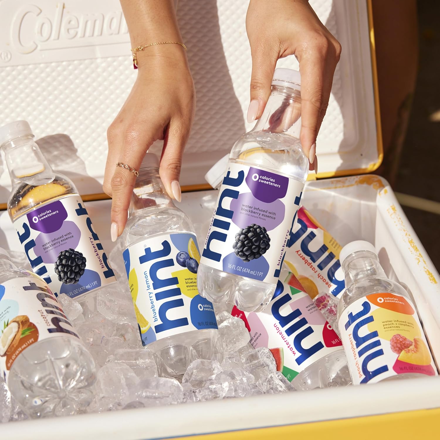 Hint Infused Bottled, Best Sellers Variety Pack - Sugar Free Flavored with