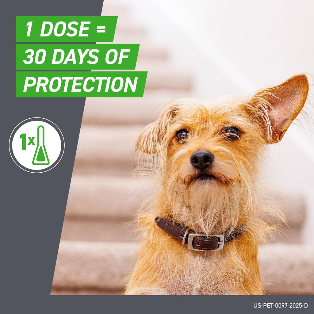 FRONTLINE Plus Flea and Tick Treatment for Small Dogs Upto 5 to 22 lbs. 3