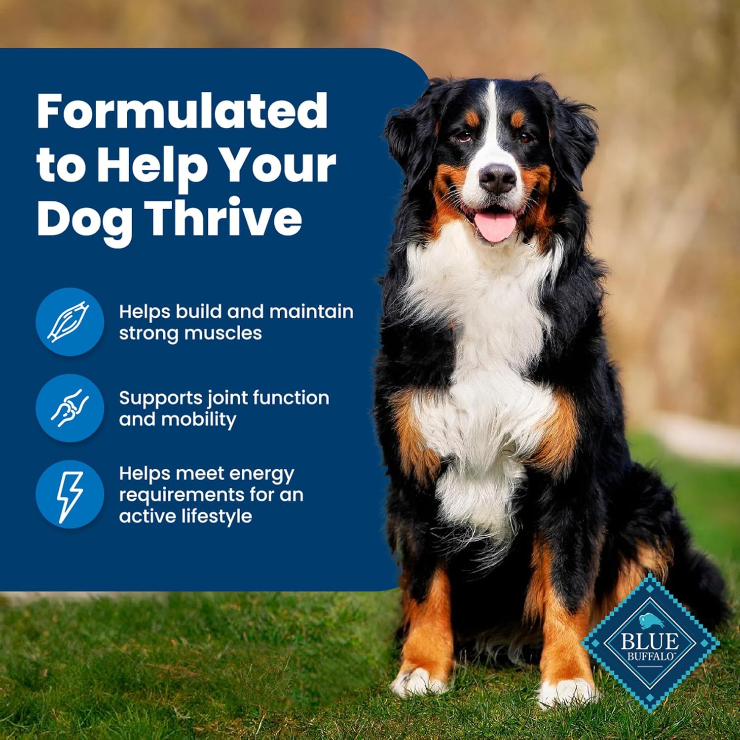 Blue Buffalo Life Protection Formula Adult Dry Dog Food, Helps Build and