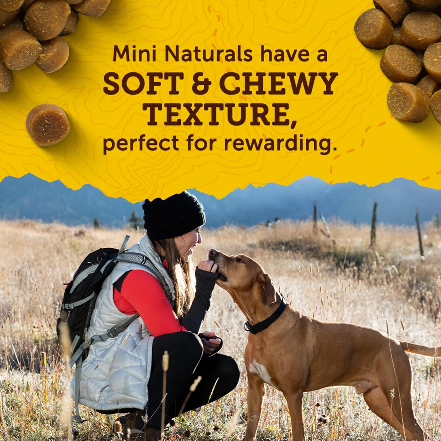 Zuke‰۪s Mini Naturals Dog Training Treats for Dogs, Pet Treats Made with Real
