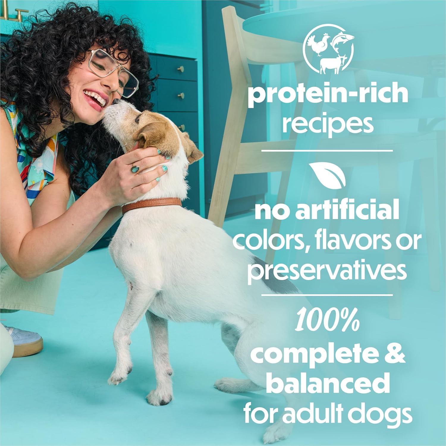 Beneful Purina Small Breed Wet Dog Food Variety Pack, IncrediBites With Real