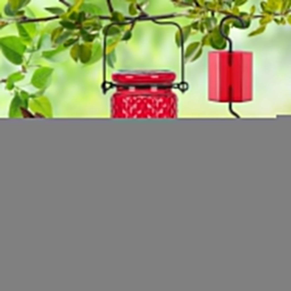 FEED GARDEN Glass Hummingbird Feeder, 16oz Outdoor Hanging Bird Feeder with