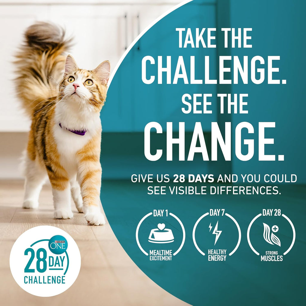 Purina ONE Natural Dry Cat Food, Tender Selects Blend With Real Chicken - 7