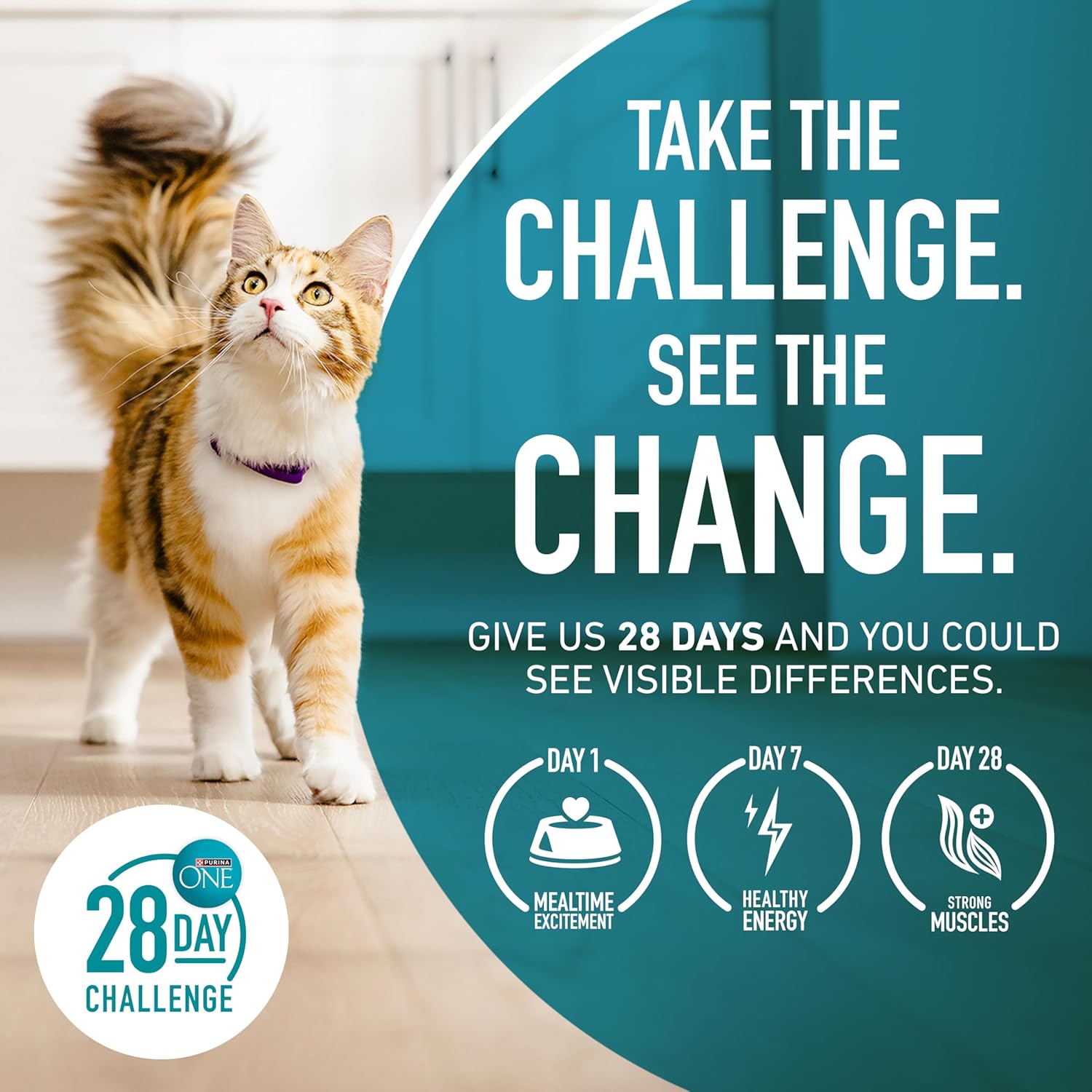 Purina ONE Natural Dry Cat Food, Tender Selects Blend With Real Chicken - 7