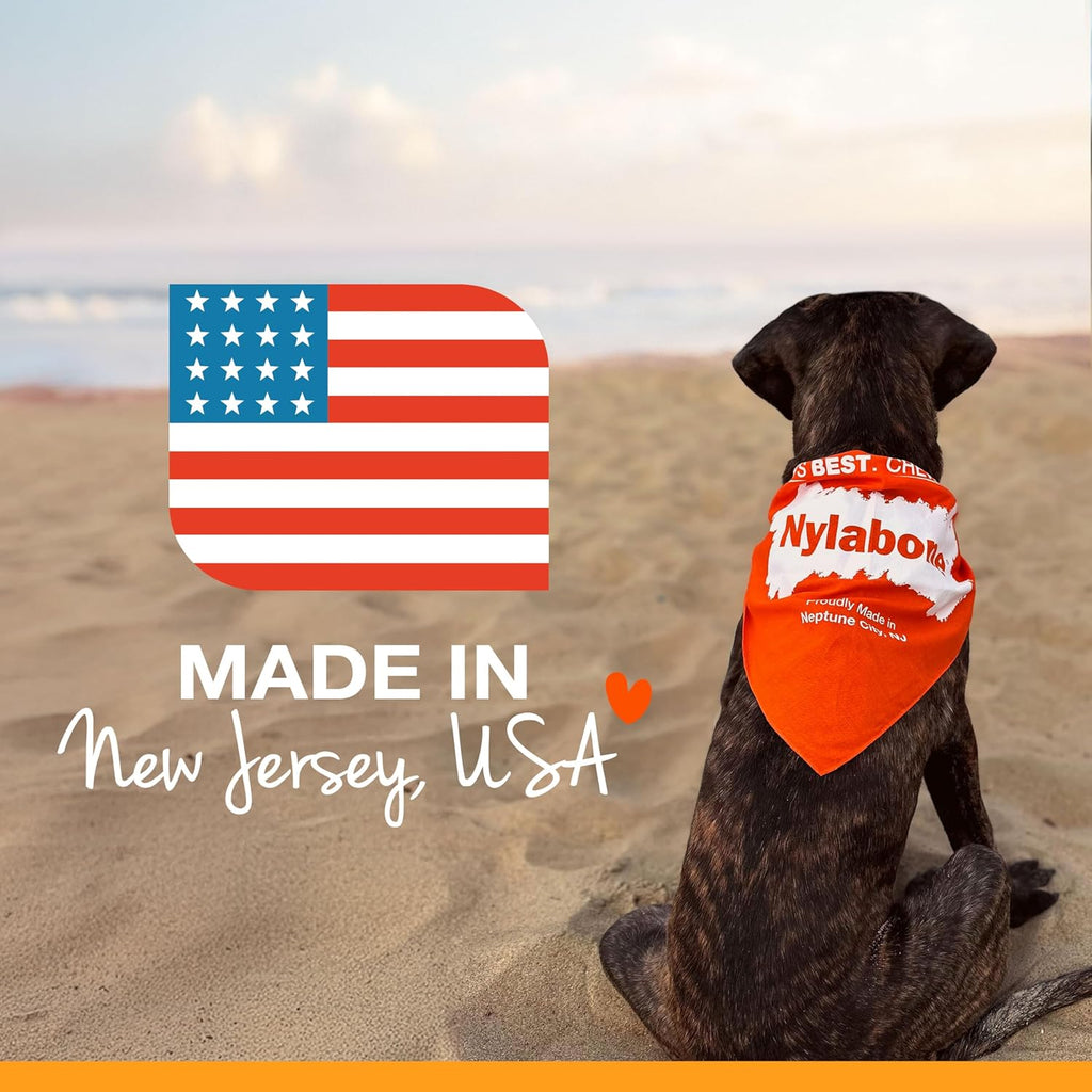 Nylabone Healthy Edibles Natural Puppy Chews Long Lasting Treats for Puppies