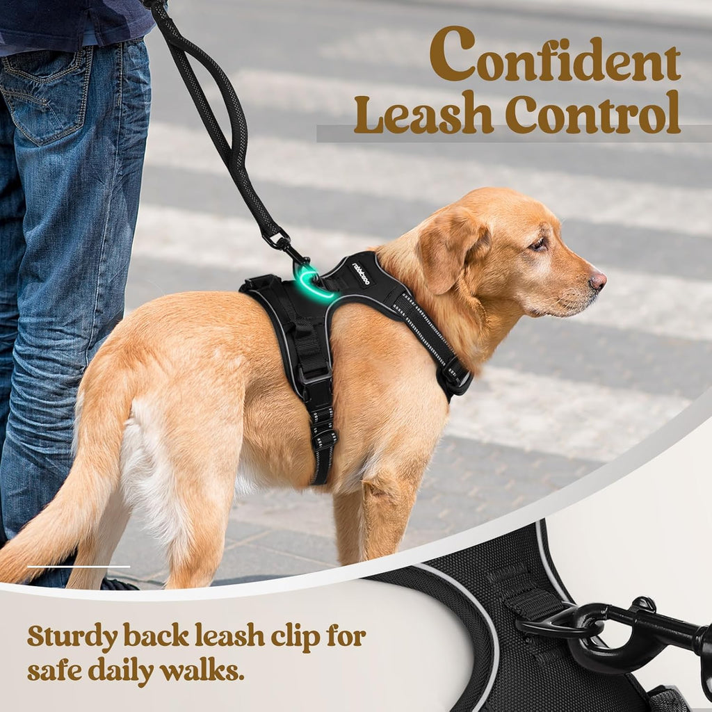 rabbitgoo Dog Harness No Pull with 2 Leash Clips, Adjustable Soft Padded