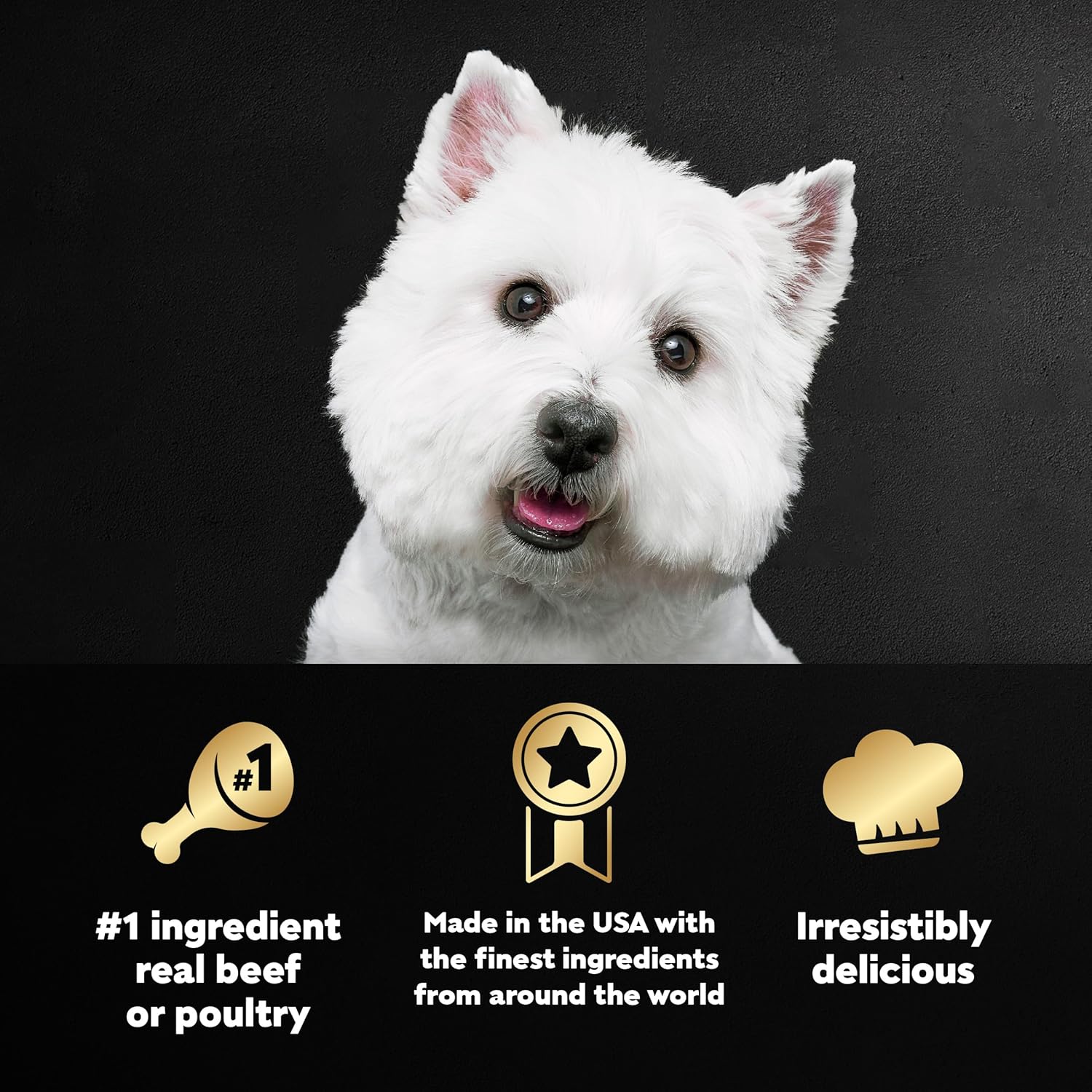Cesar Wet Dog Food Classic Loaf in Sauce Grilled Chicken, Filet Mignon
