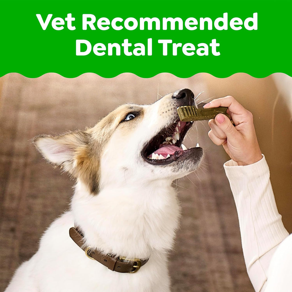 Greenies Veterinarian-Recommended Adult Natural Dental Dog Treats Petite