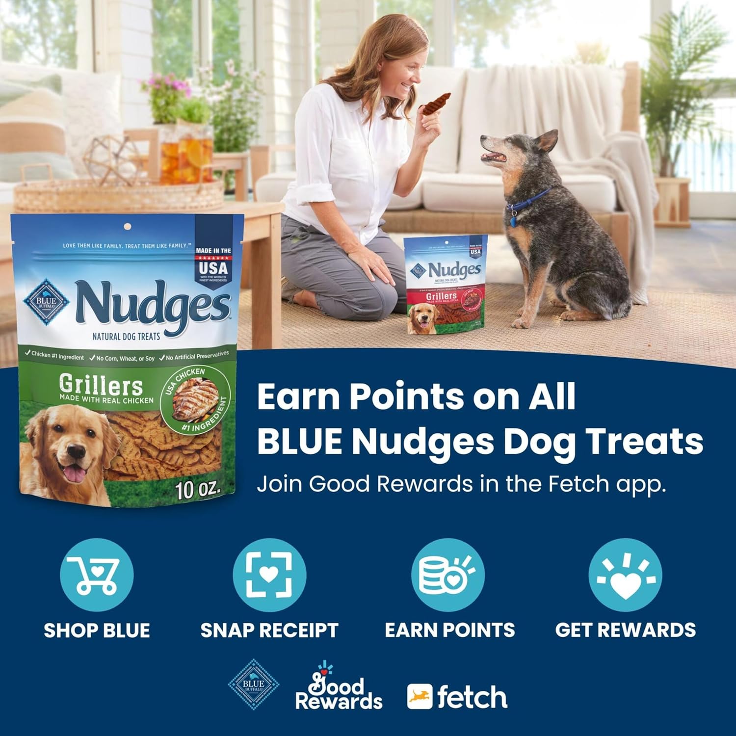 Blue Buffalo Nudges Grillers Natural Dog Treats, Made in the USA with Real