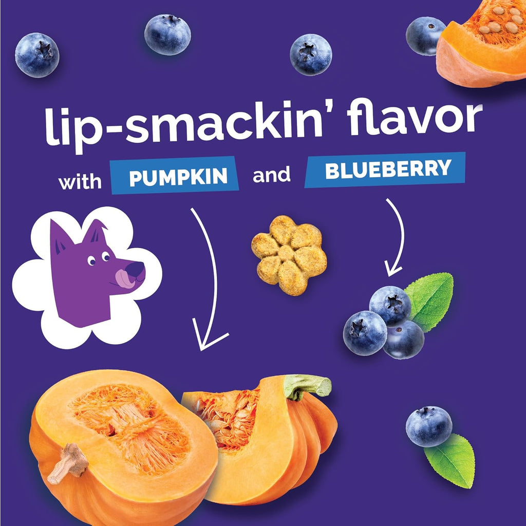 Fruitables Baked Dog Treats, Healthy Pumpkin Treat for Dogs, Low Calorie &