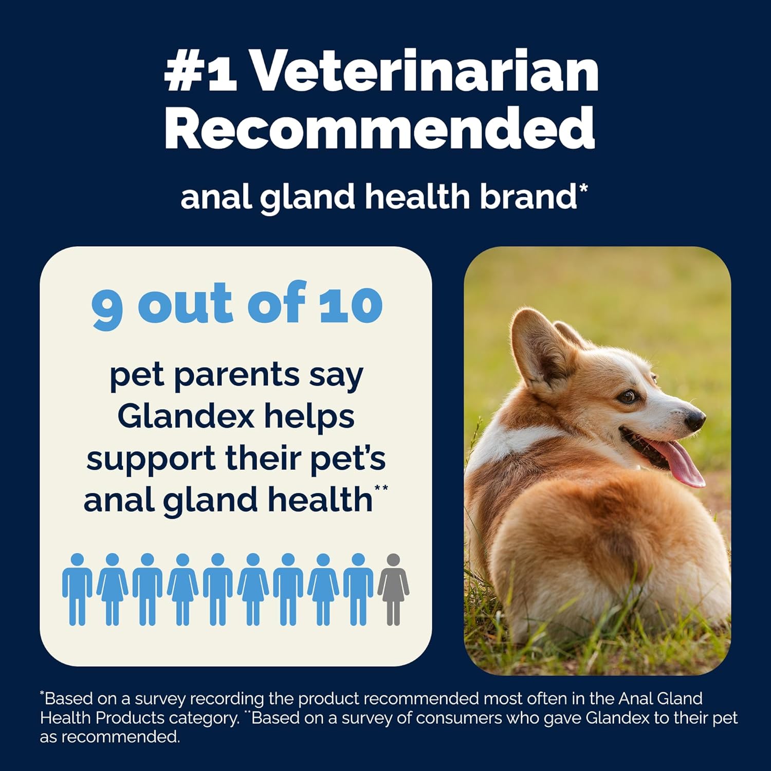 Vetnique Glandex Anal Gland Soft Chew Treats with Pumpkin for Dogs Digestive