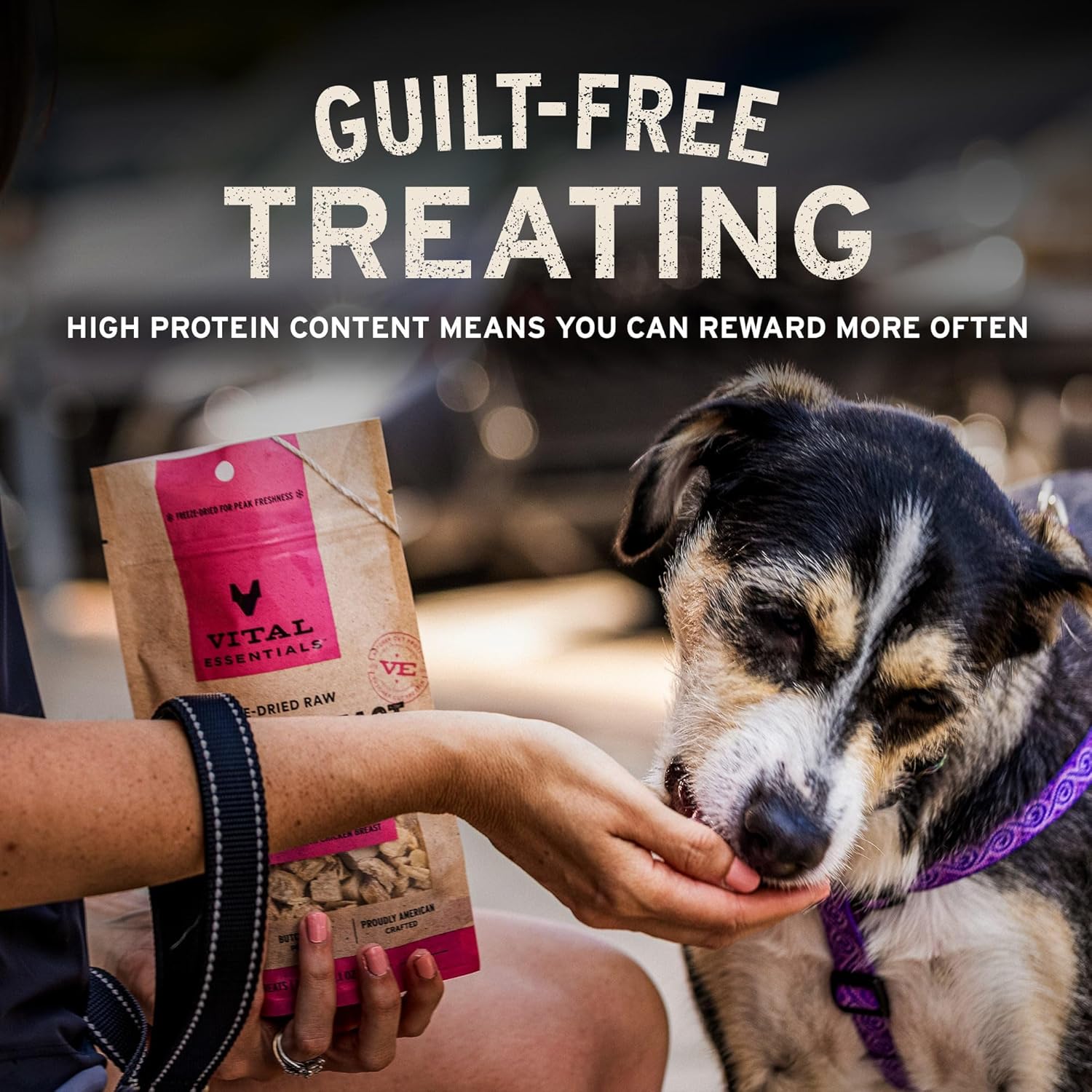 Vital Essentials Freeze Dried Dog Treats