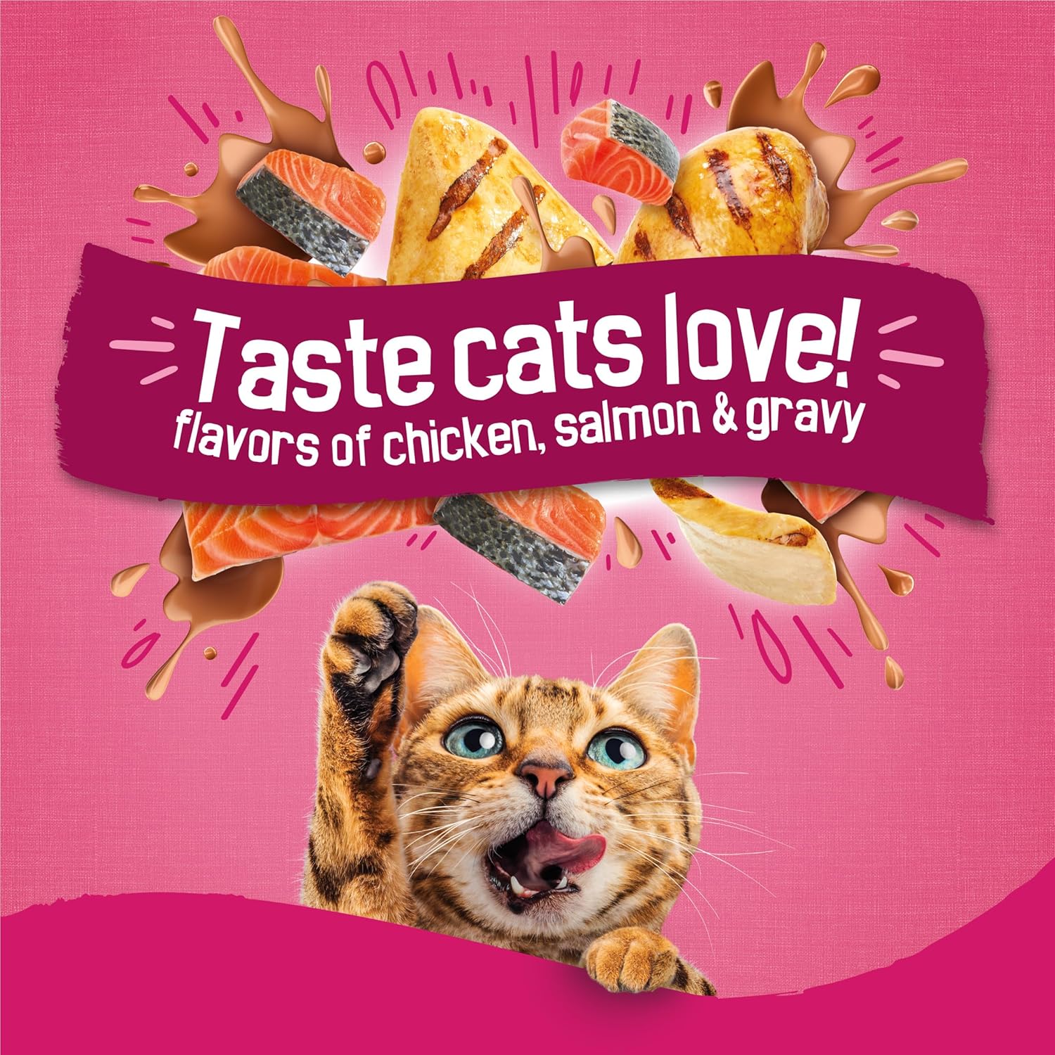 Purina Friskies Gravy Swirlers With Flavors of Chicken, Salmon and Gravy Dry
