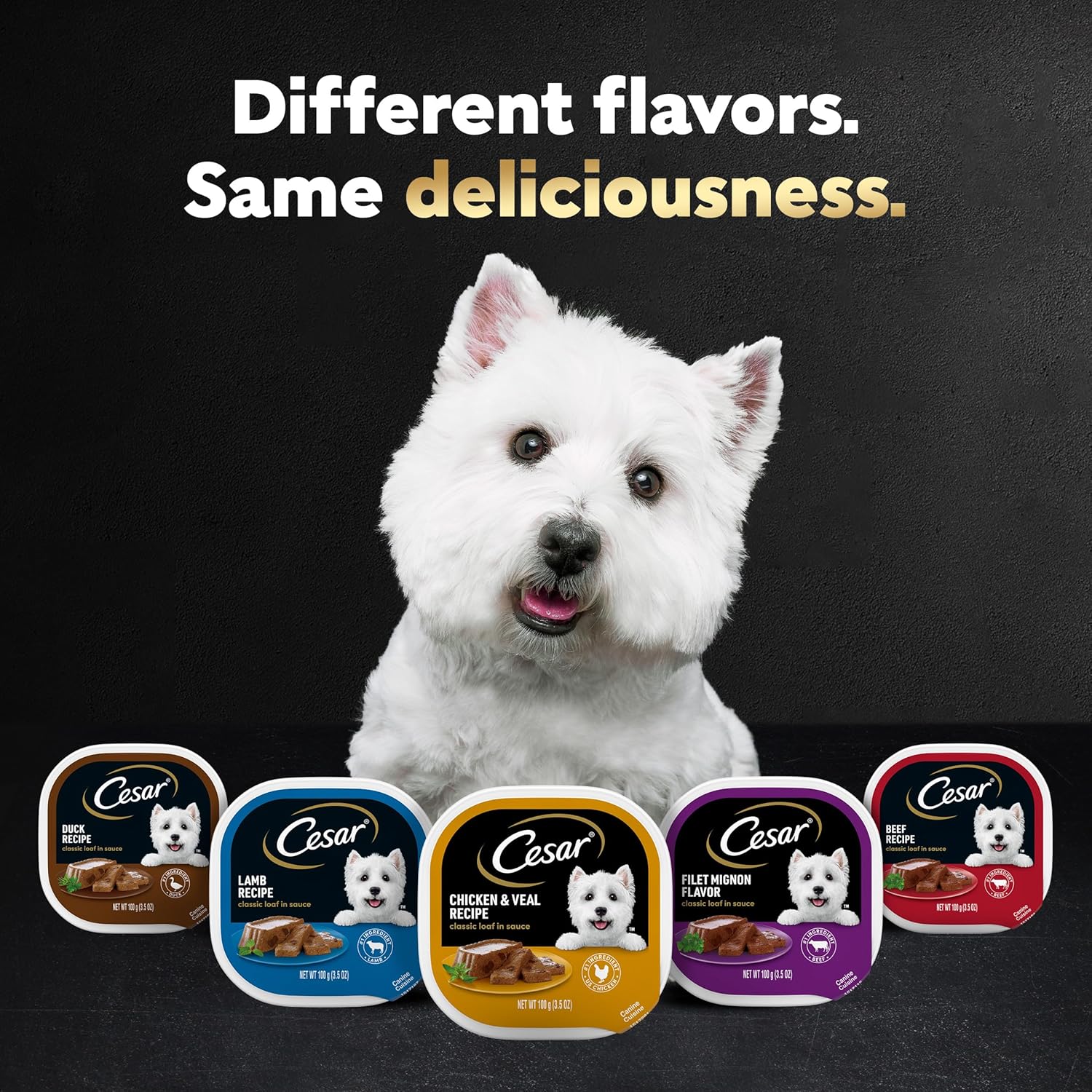 Cesar Wet Dog Food Classic Loaf in Sauce Grilled Chicken, Filet Mignon