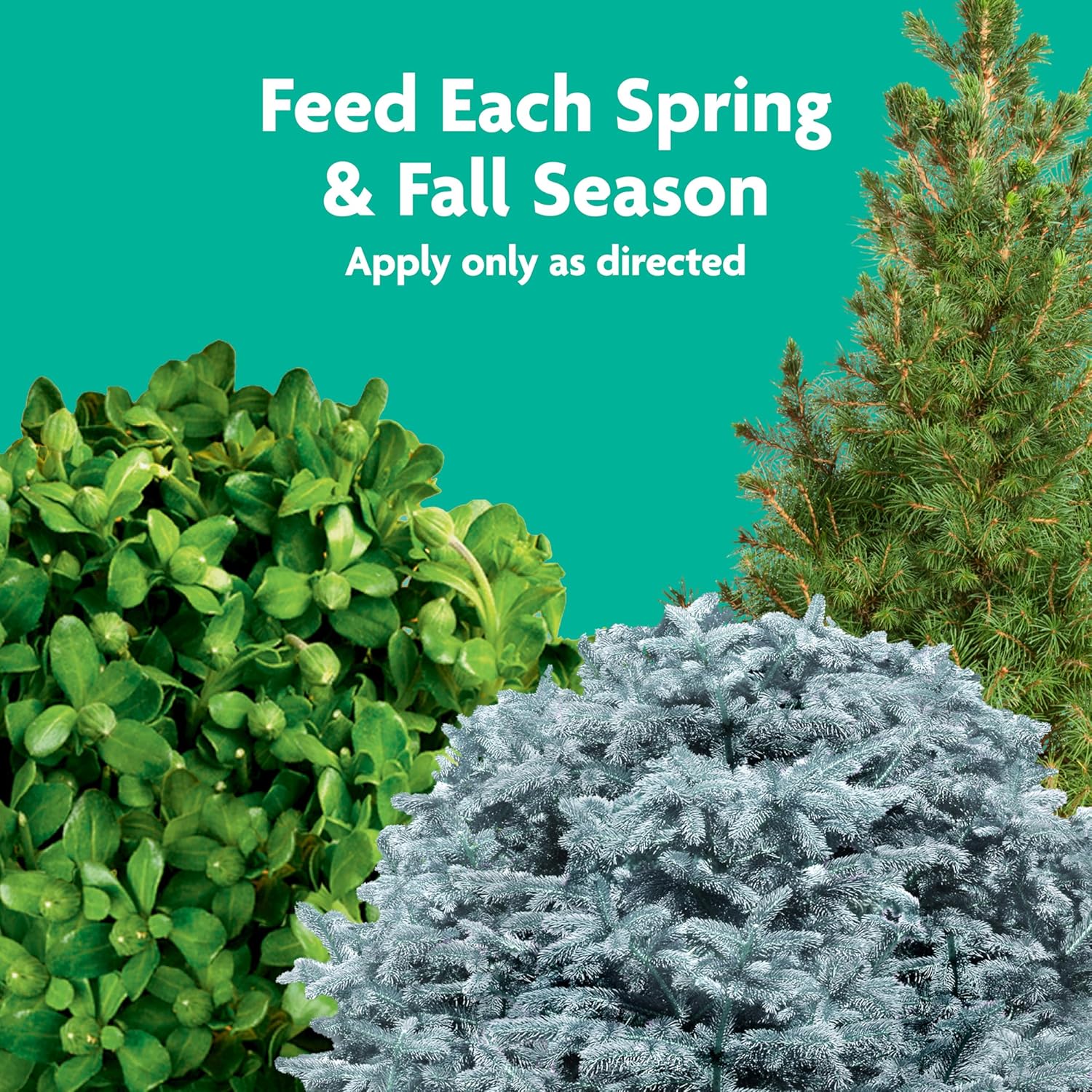 Miracle-Gro Tree and Shrub Plant Food Spikes - Deciduous, Flowering &