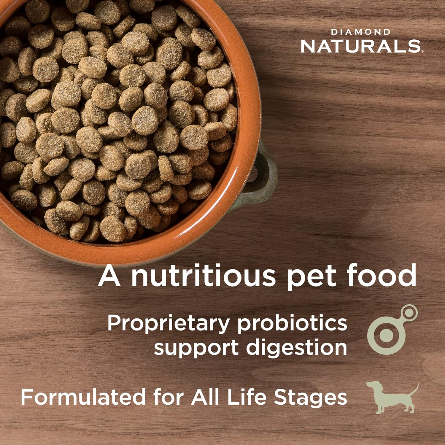 Diamond Naturals Skin & Coat Real Salmon and Potato Recipe Dry Dog Food with