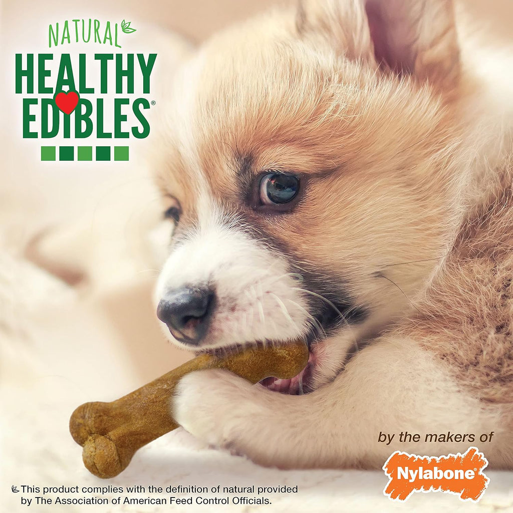 Nylabone Healthy Edibles Natural Puppy Chews Long Lasting Treats for Puppies