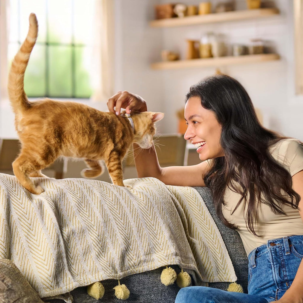 Meow Mix Gravy Bursts, Savory Chicken Flavor Mix, Gravy Filled Dry Cat Food