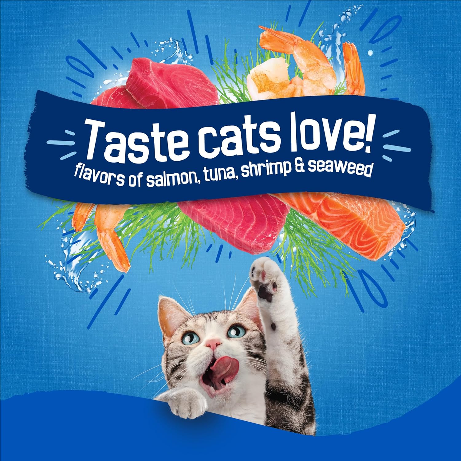 Purina Friskies Dry Cat Food Seafood Sensations With Salmon, Tuna, and Shrimp