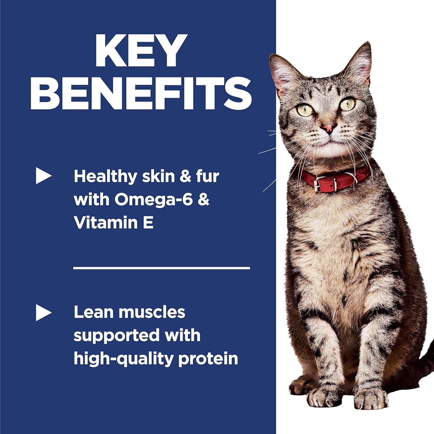 Hill's Science Diet Adult 1-6 Premium Nutrition Dry Cat Food, Chicken Recipe