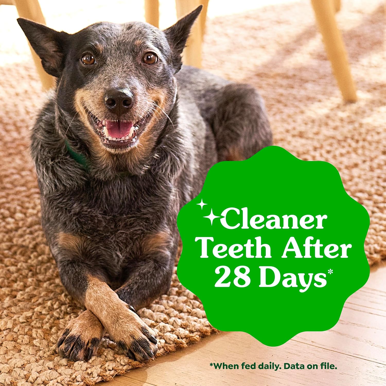 Greenies Veterinarian-Recommended Adult Natural Dental Dog Treats Petite