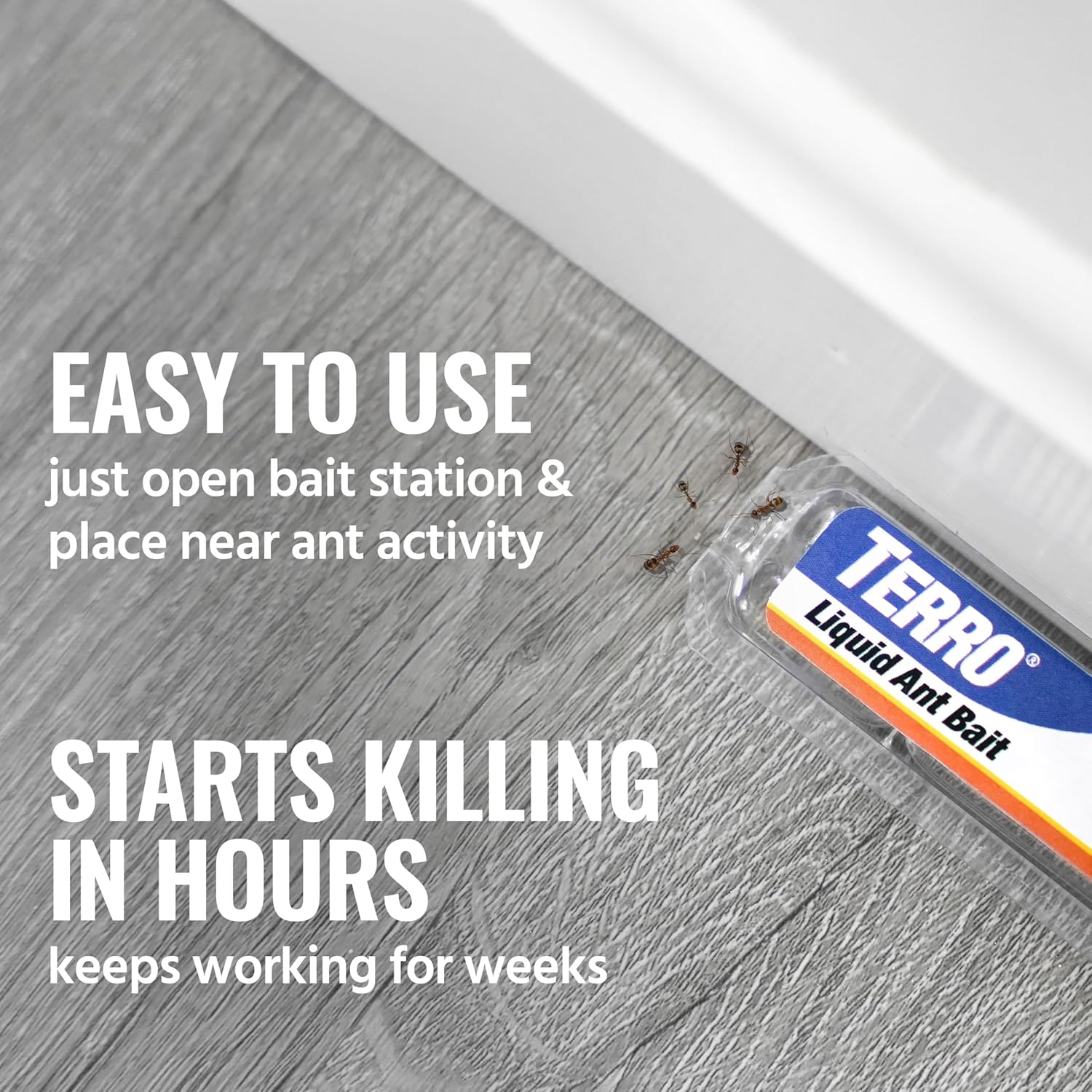 TERRO Ant Killer Bait Stations T300B - Liquid Bait to Eliminate Ants - Bait