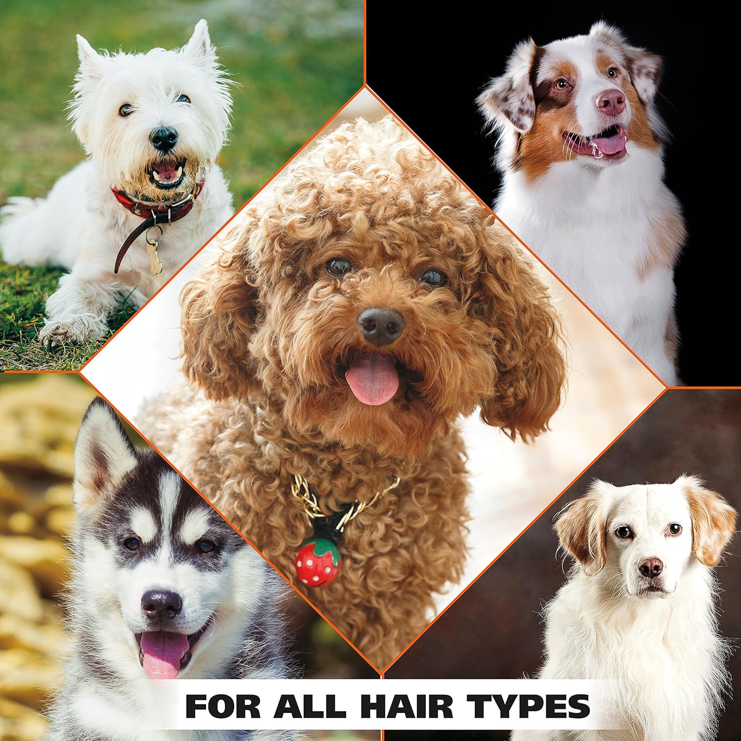 Wahl USA Dry Skin & Itch Relief Pet Shampoo for Dogs ‰ÛÒ Oatmeal Formula with